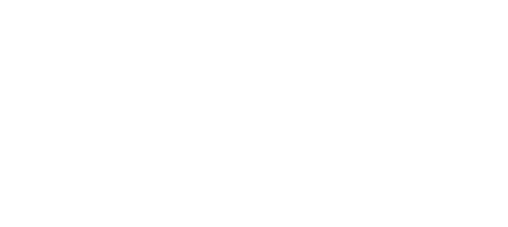 Carolina Unleash Learning
